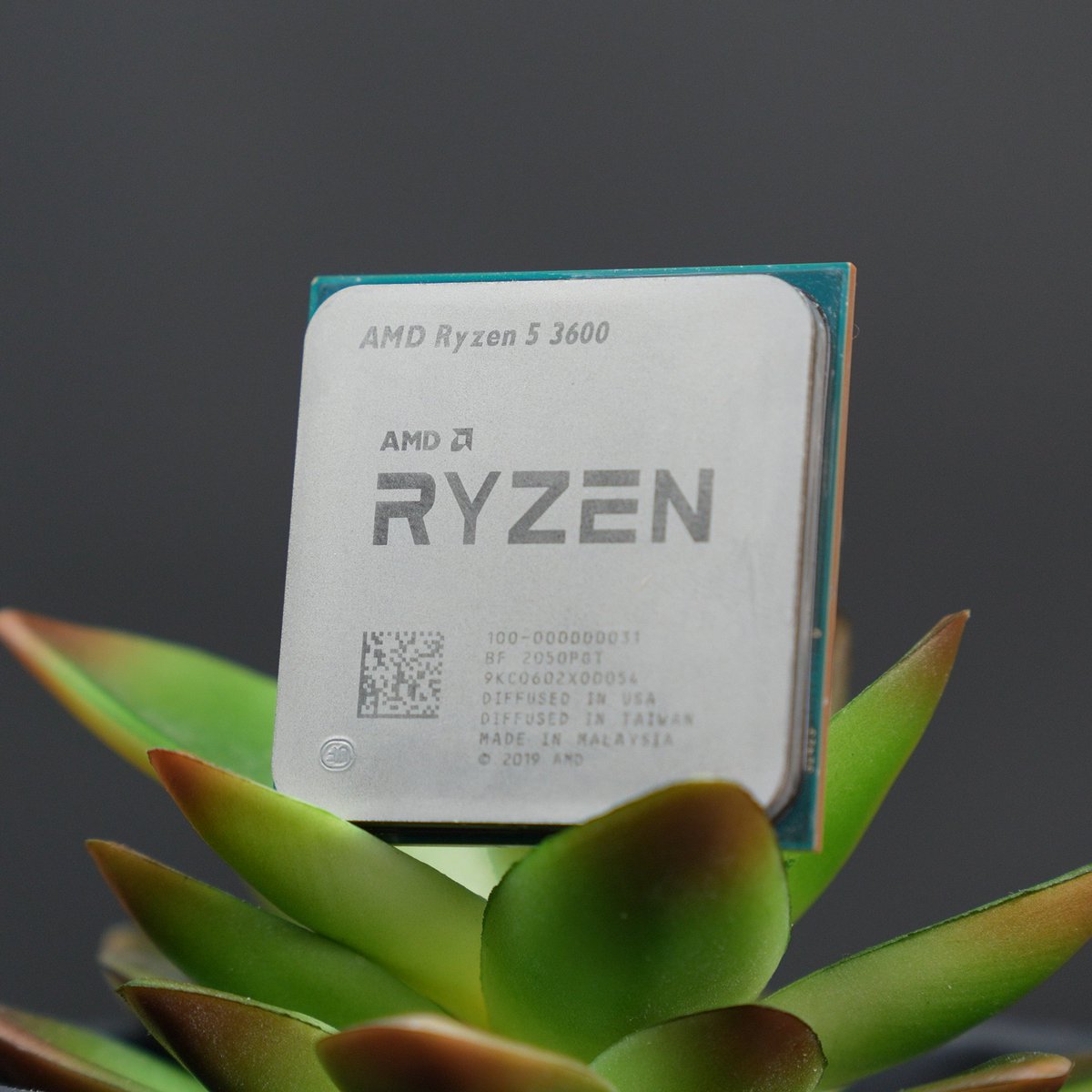 Zach's Tech Turf tweet media