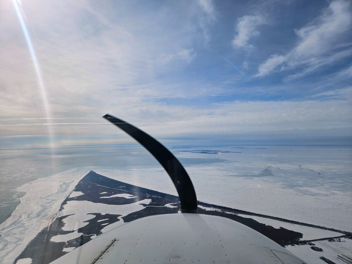 Papple Aviation tweet media