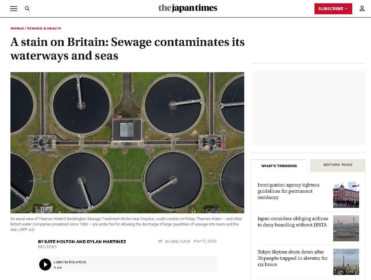 Windrush WASP tweet media