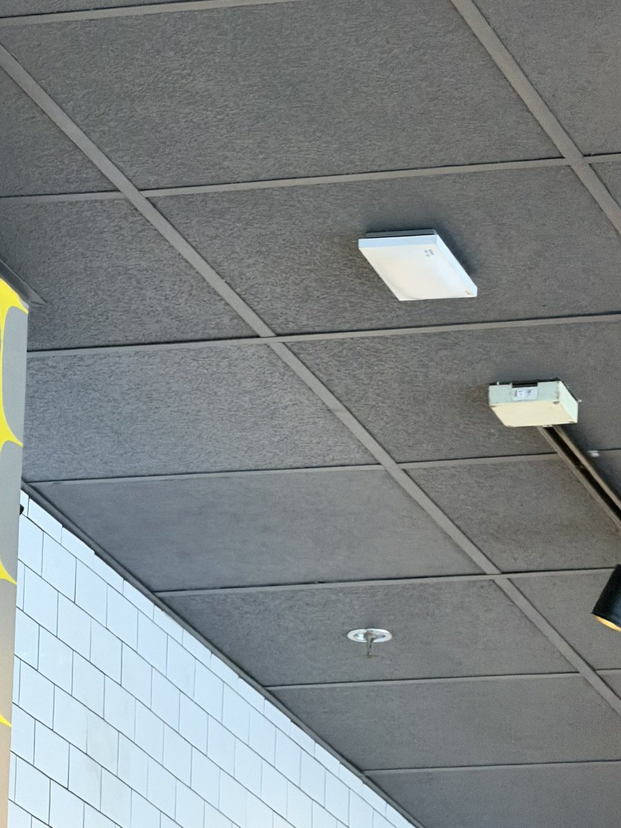 Joey Hiller 🎈 tweet media