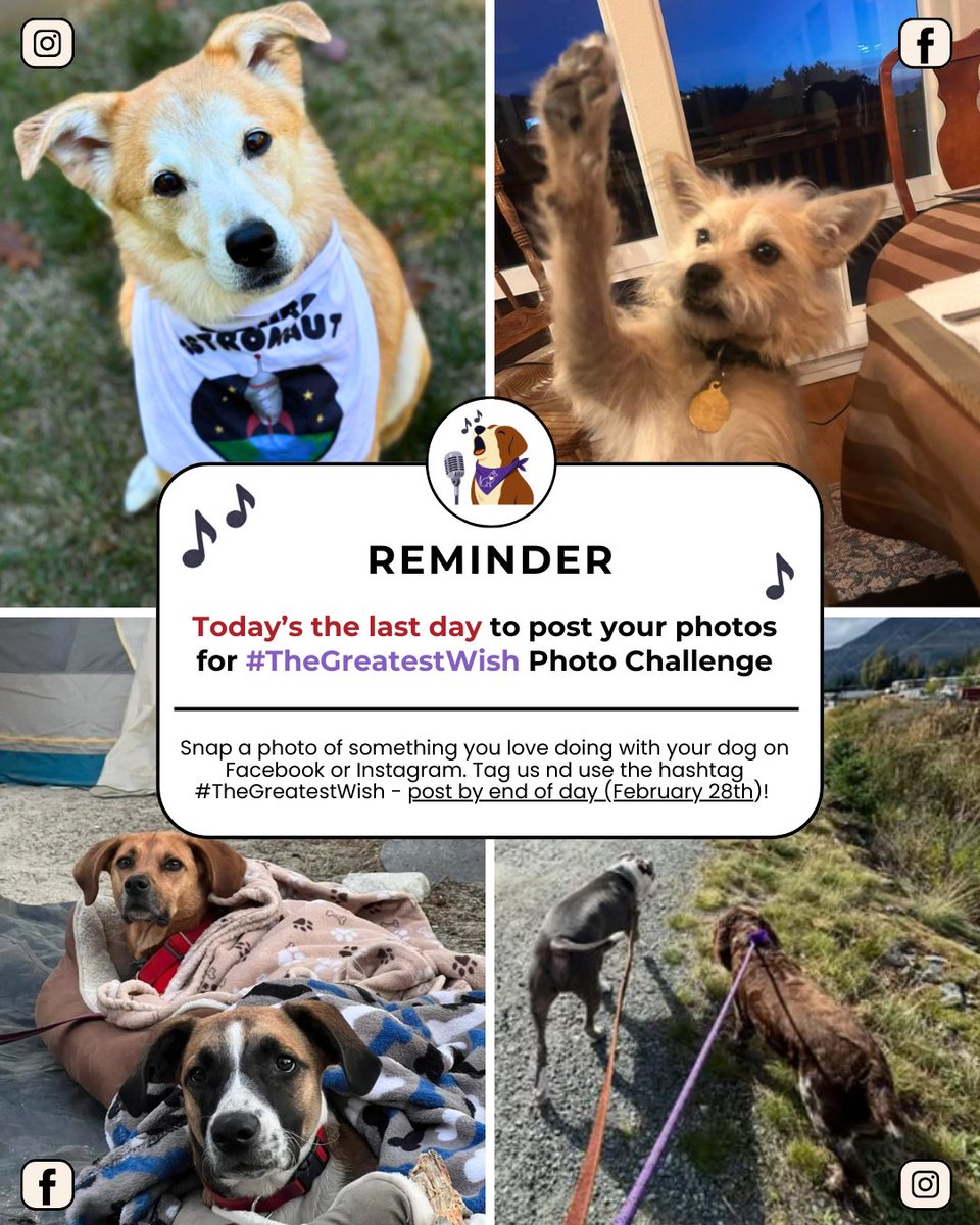 Dog Aging Project tweet media