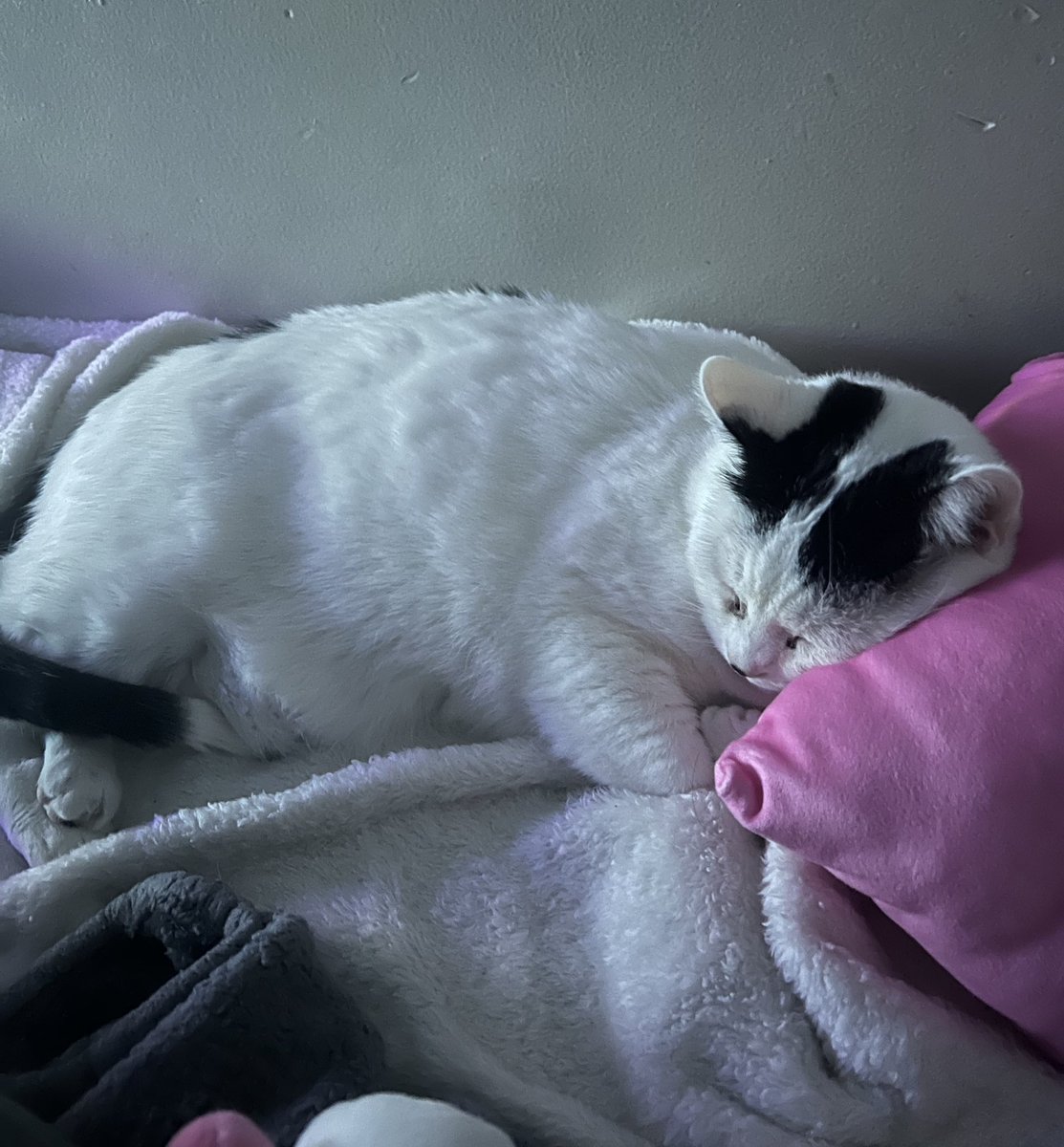 I love when he uses a pillow 😭🏳️‍⚧️
