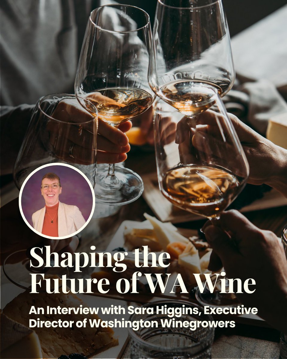 Sip Magazine tweet media