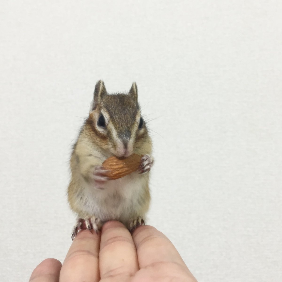 まる (@raw1112) on Twitter photo 