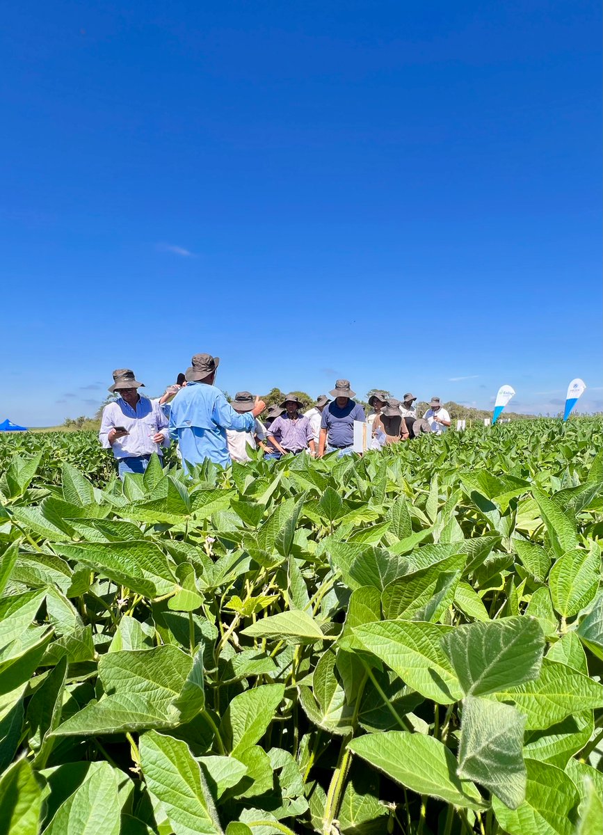 Corteva Argentina tweet media