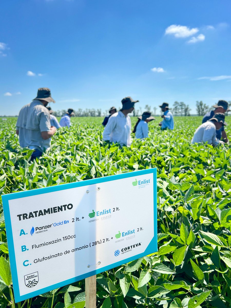 Corteva Argentina tweet media