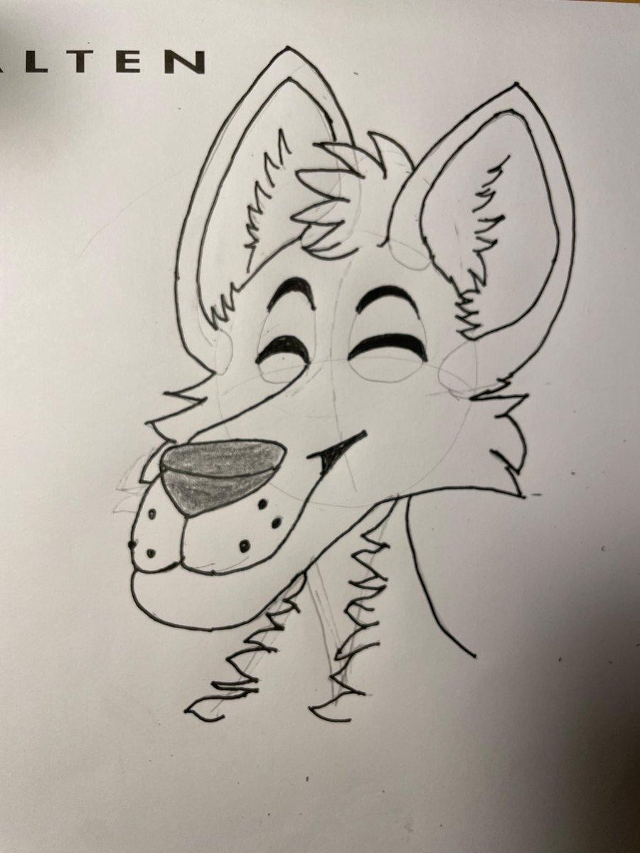 Tekula wolf 🔜 NFC tweet media