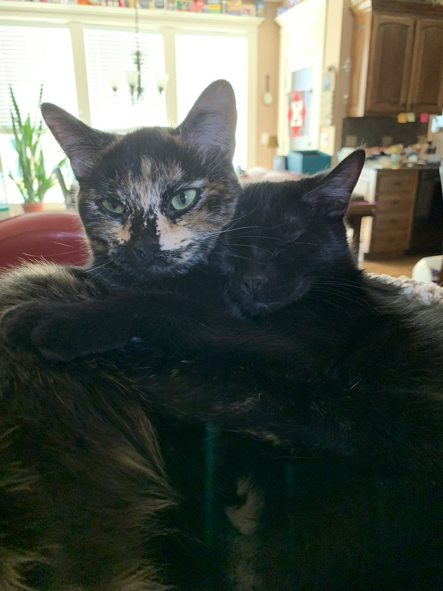 Varang Aura Moments tweet media