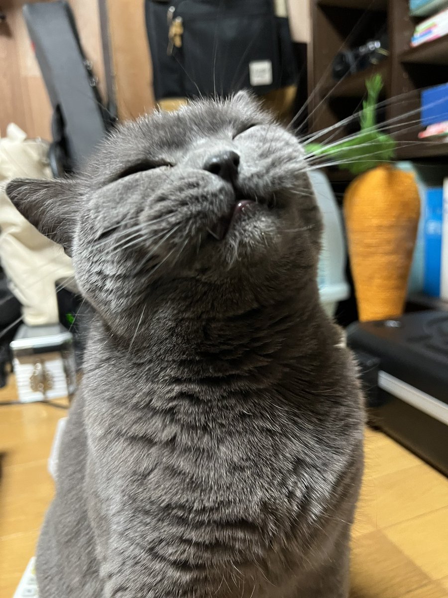 おはようございます🌞