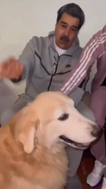 Obstinado tweet media