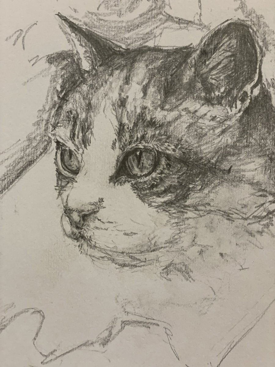 sheilaMol tweet media