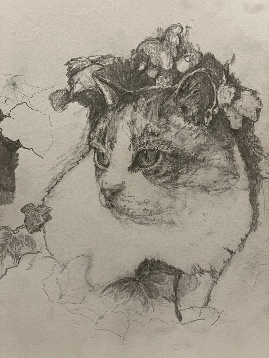 sheilaMol tweet media