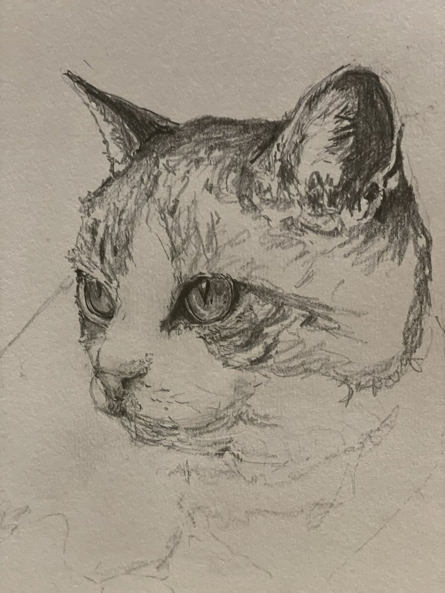 sheilaMol tweet media