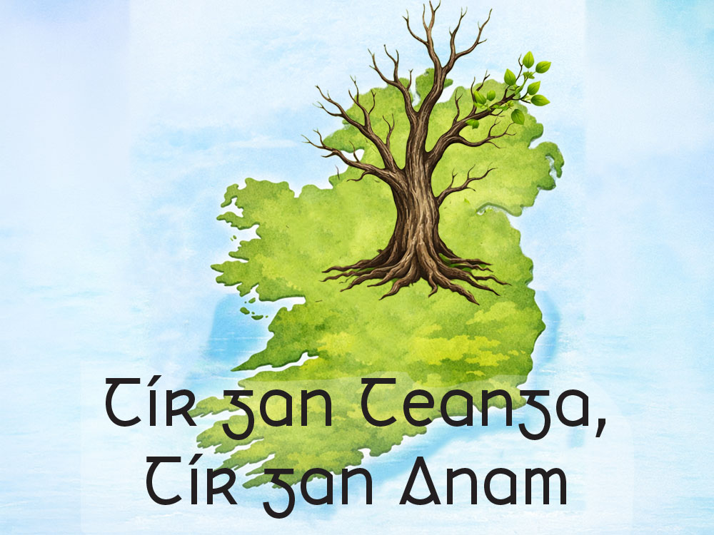 Seomra Nuachta|NuachtAnois tweet media