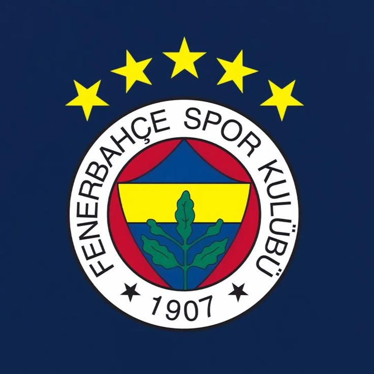 BBO Sports tweet media