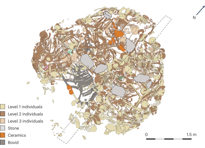 Nature Human Behaviour tweet media