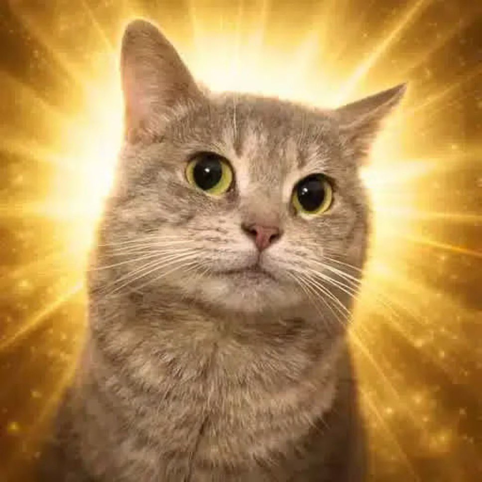 Clau 🚀 tweet media