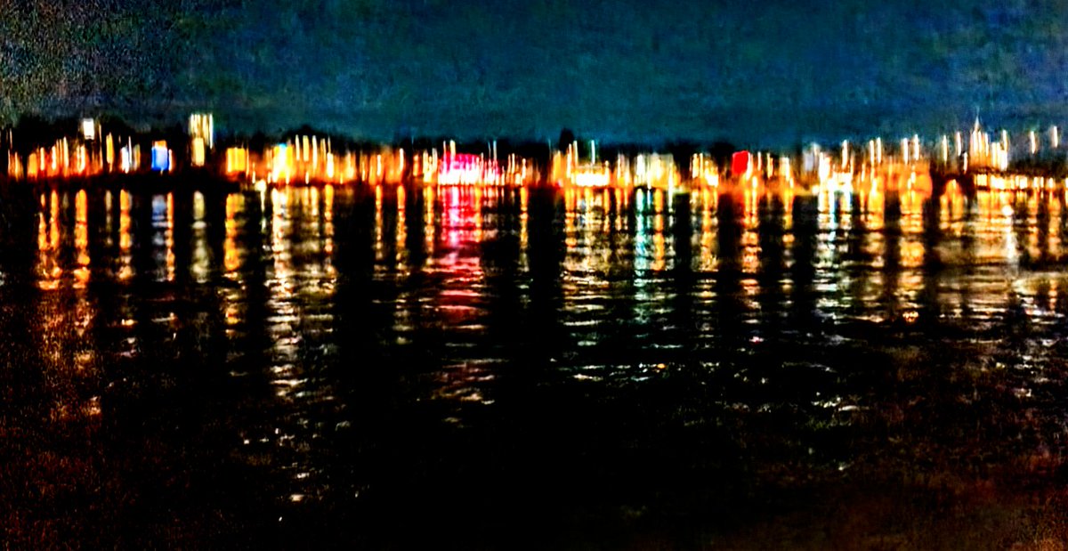 thewisdomtooth tweet media