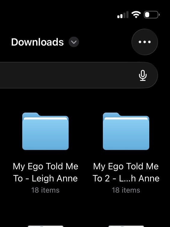 Thank you to <a href="/leighannefunds/">Leigh-Anne Funds</a> for funding me 3 lots of <a href="/LeighAnneMusic/">Leigh-Anne</a> album 💚

SO grateful!!