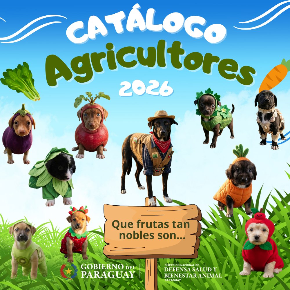 adoptaMpy tweet media