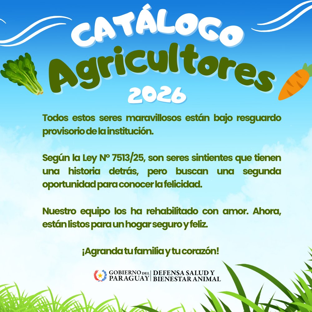 adoptaMpy tweet media