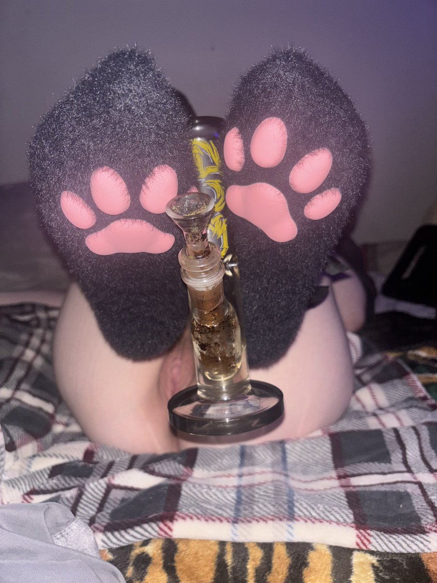 kittyoffweed's tweet photo. care for a hit? https://t.co/DBmf0WqHot