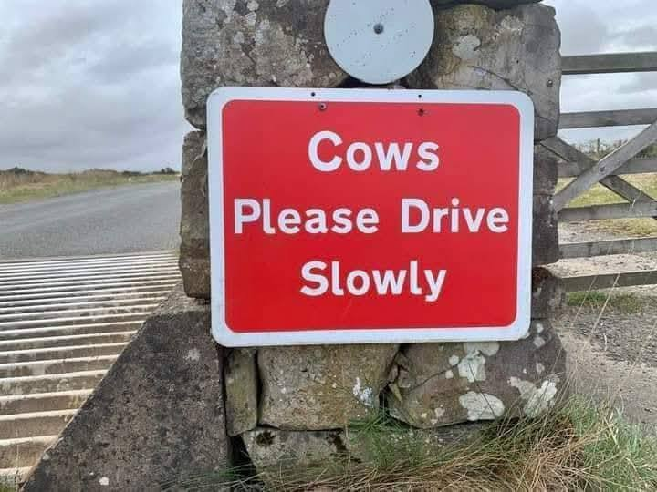 It's about time Sandford council got some signs up. Some of those cows are bloody lunatics behind the wheel.