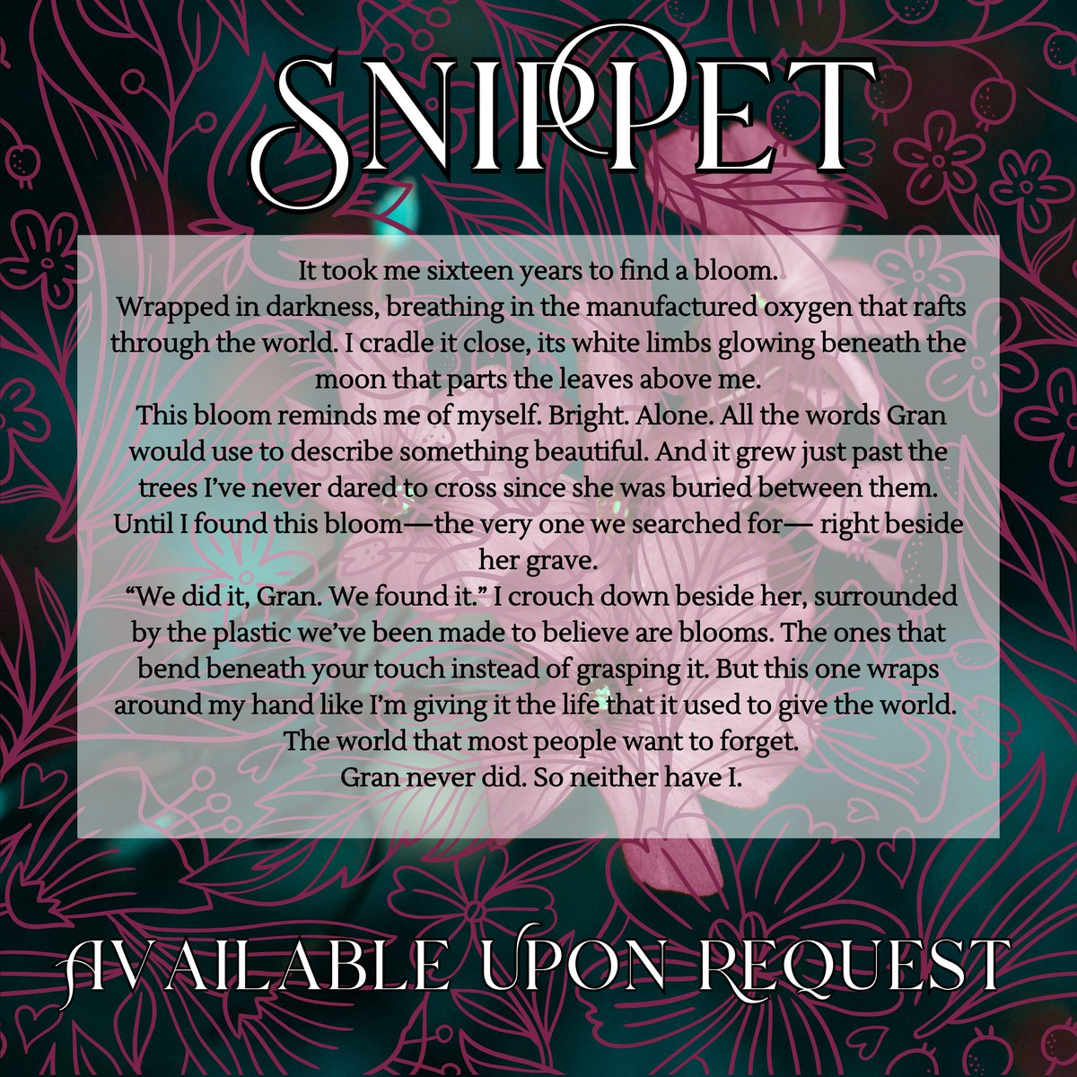 Q’Zion T. Gipson is ✨ seeking new representation!✨ tweet media