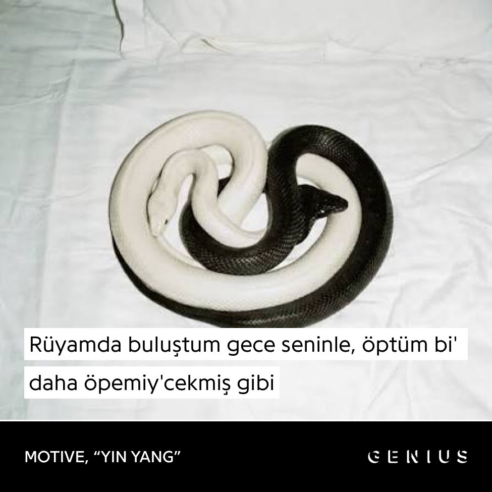 jon snow (@gs_ragern) on Twitter photo 