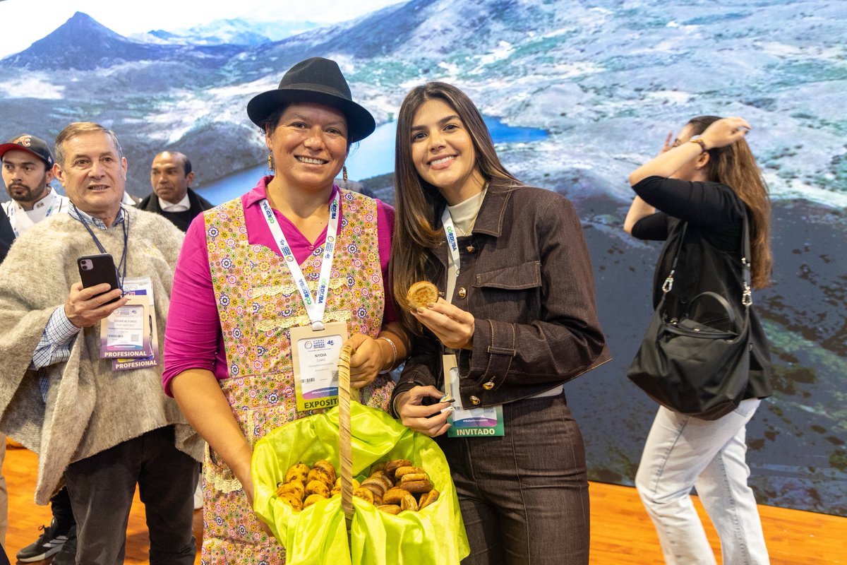 Daniela Assis Fierro tweet media