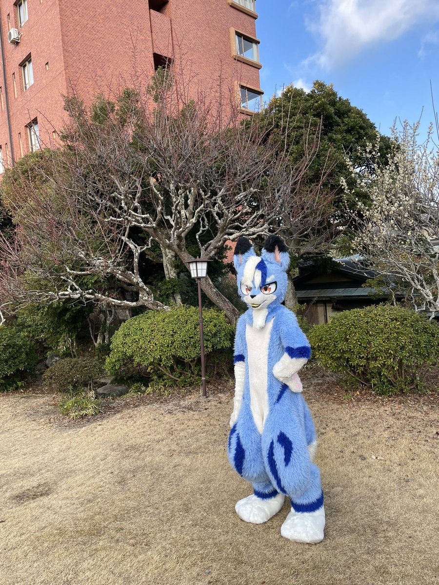けものノおふ4 #FursuitFriday