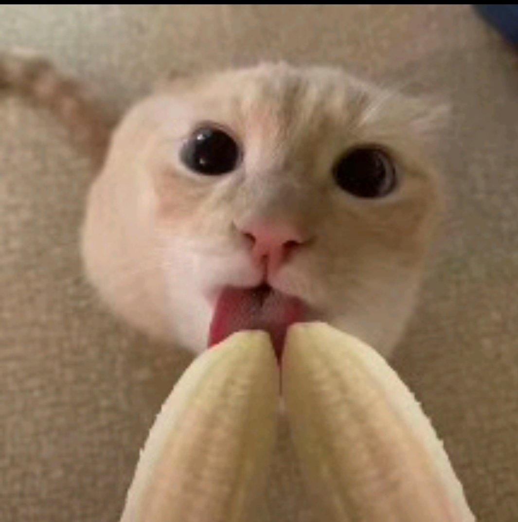 Me when I see dragon sylus