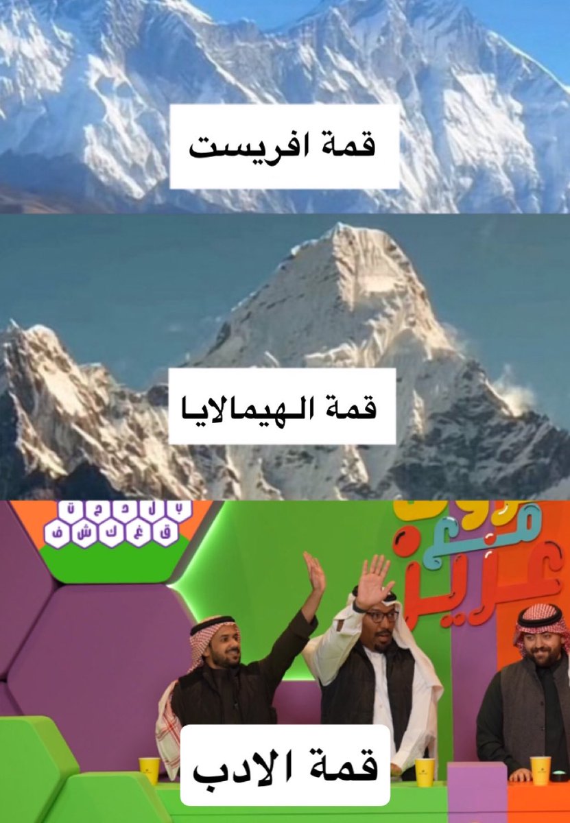 طارررق tweet media