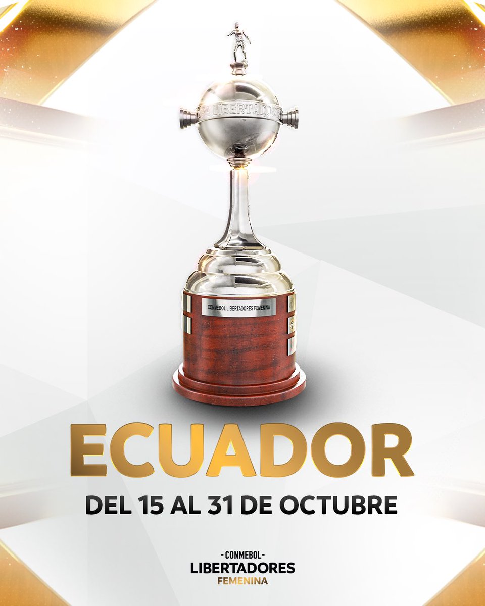 Mundo Pelota tweet media