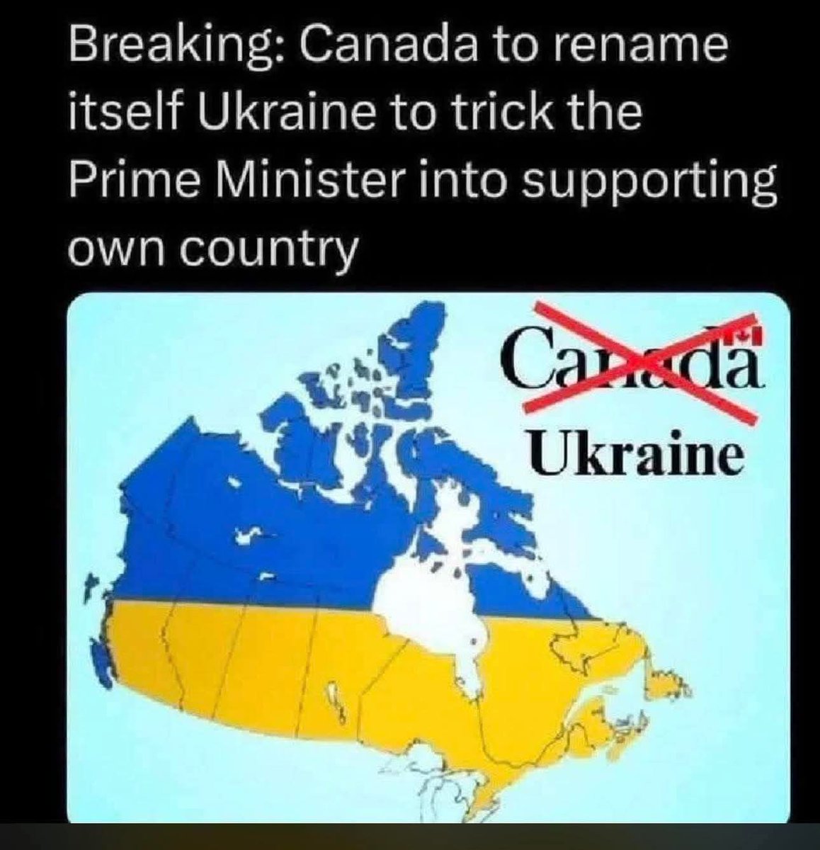 Canadian Refusenik 🍁 (@cdnrefusenik) on Twitter photo 