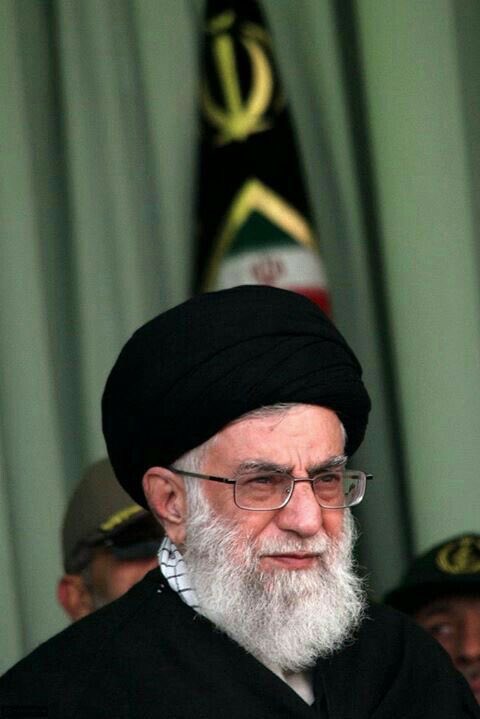 علی محبی tweet media