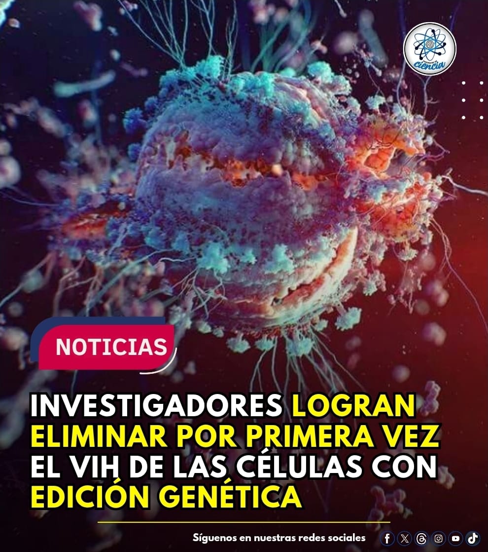 "¡ESPERANZA! 🔬🧬 Científicos logran eliminar el ADN del VIH usando edición genética CRISPR. Aunque es fase inicial, es un paso gigante hacia la cura definitiva. ¡La ciencia no se detiene! 🇻🇪✨ #Salud #Ciencia #VIH #Esperanza"