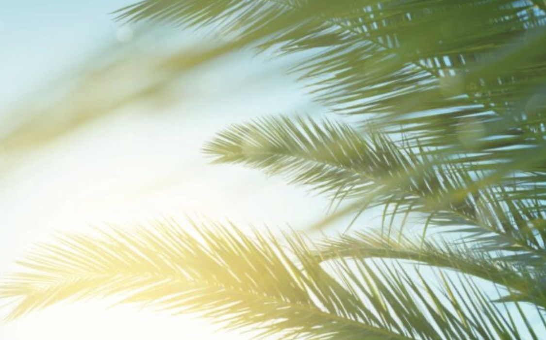 The Good Oil tweet media