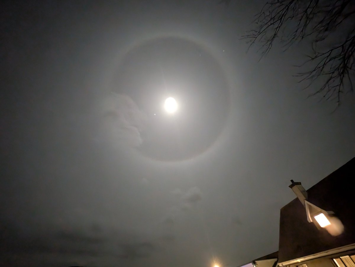 Anne Kelly ⛔NO DMs⛔ unless I know or follow you. tweet media