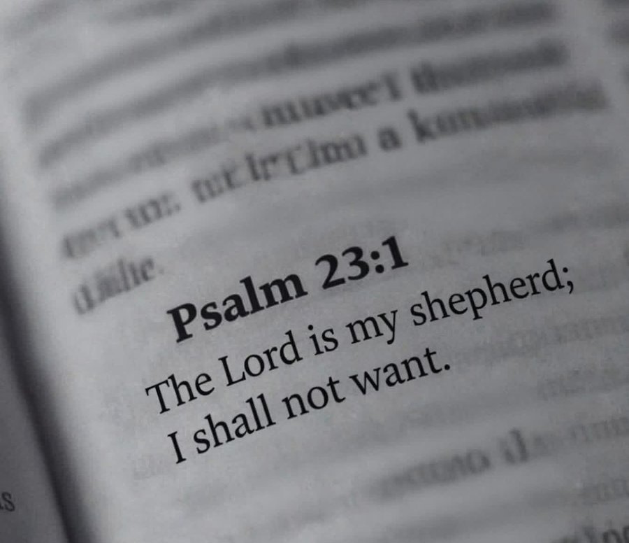 Sr.Liberti tweet media