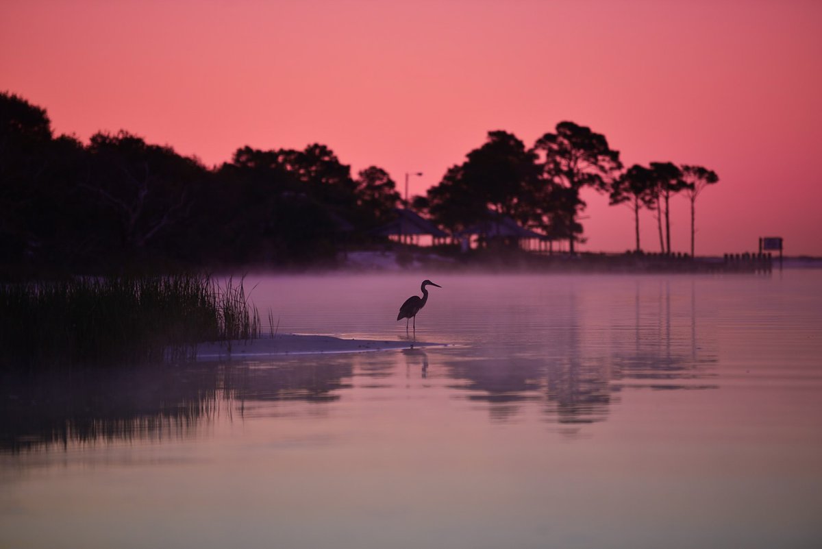 Florida State Parks tweet media