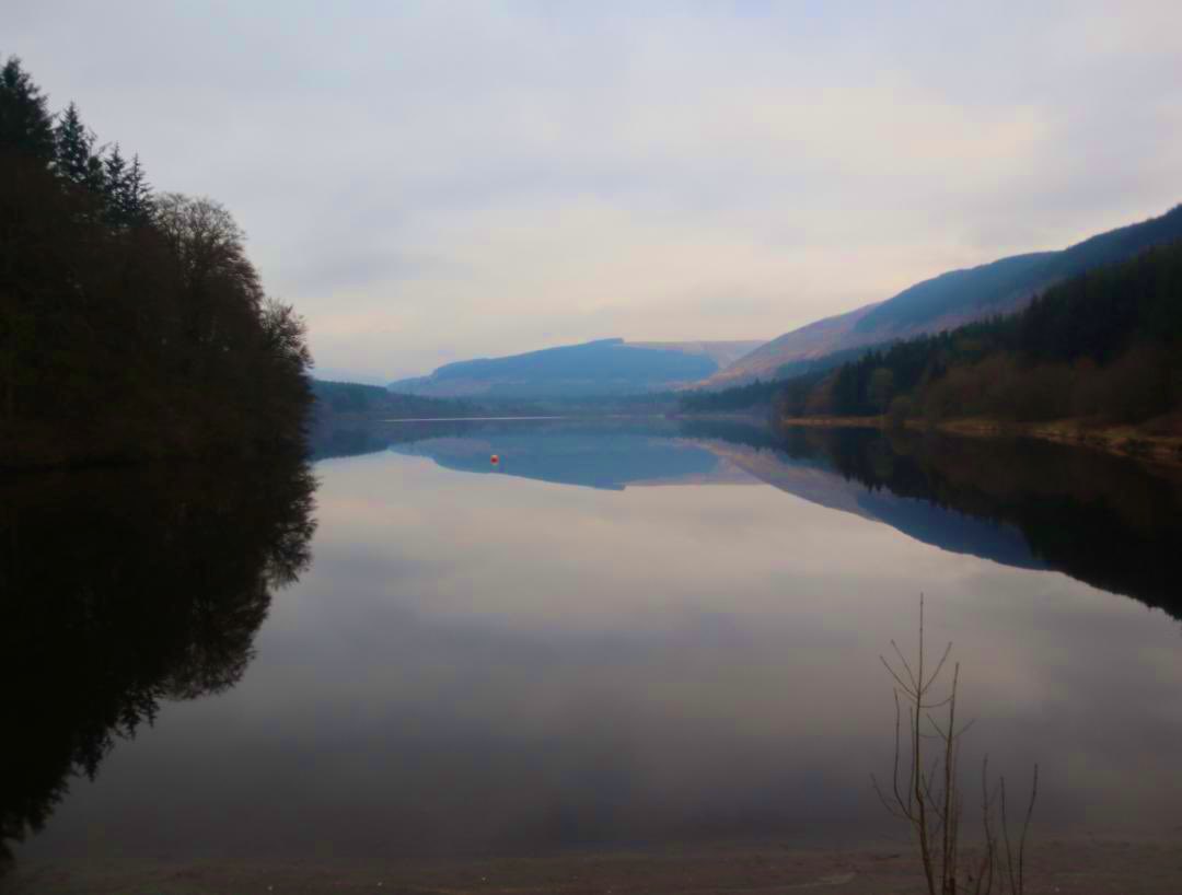 fat girl walking tweet media