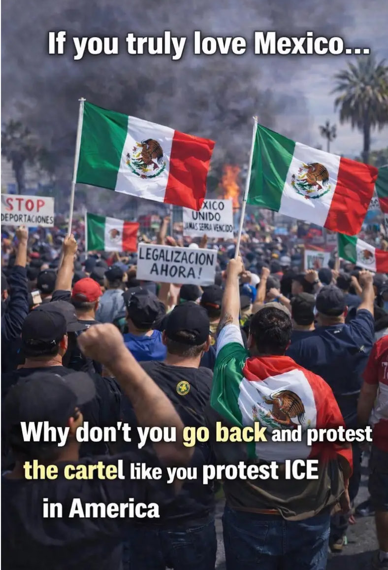 One Bad Dude tweet media