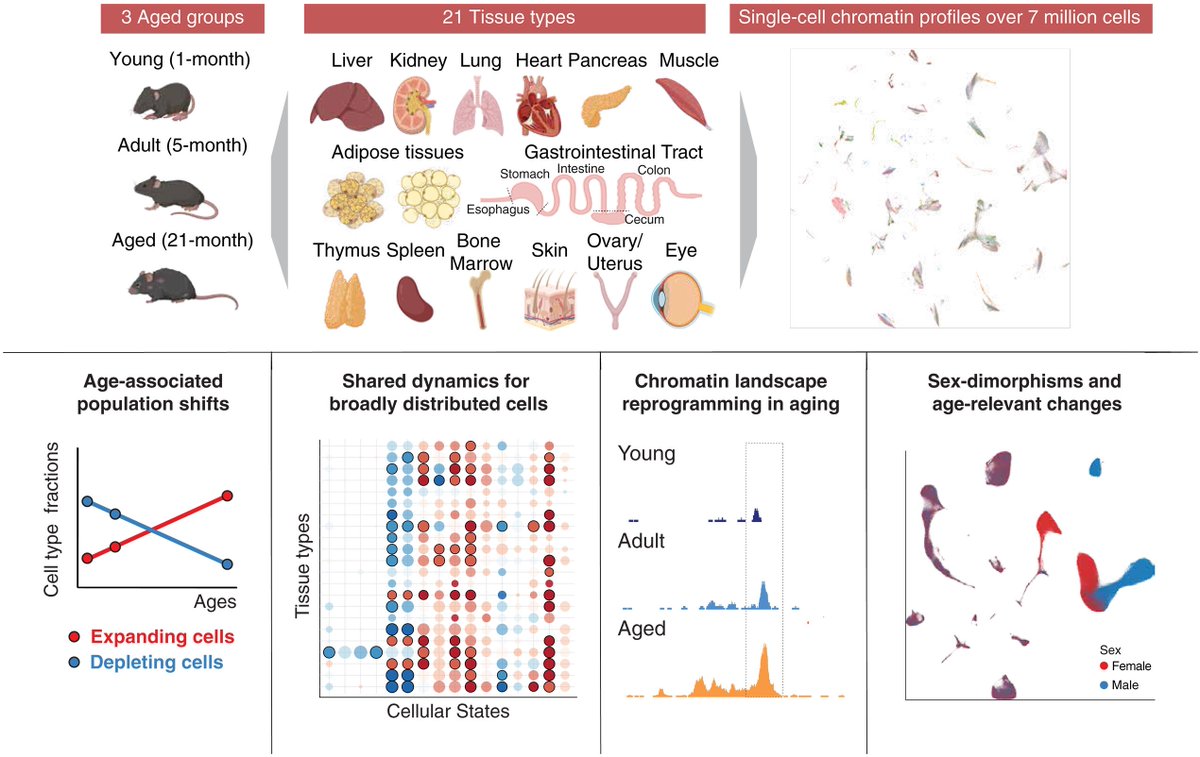 Waggoner Lab tweet media