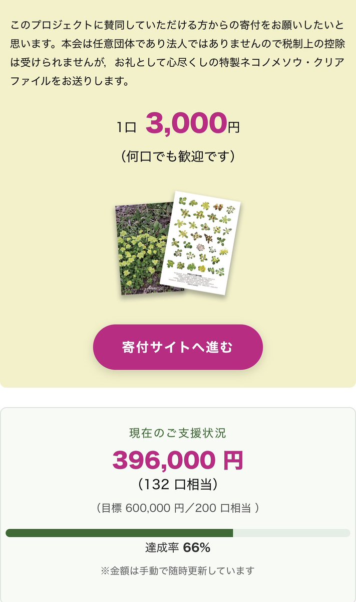 いがりまさし@日本のネコノメソウ出来！ tweet media
