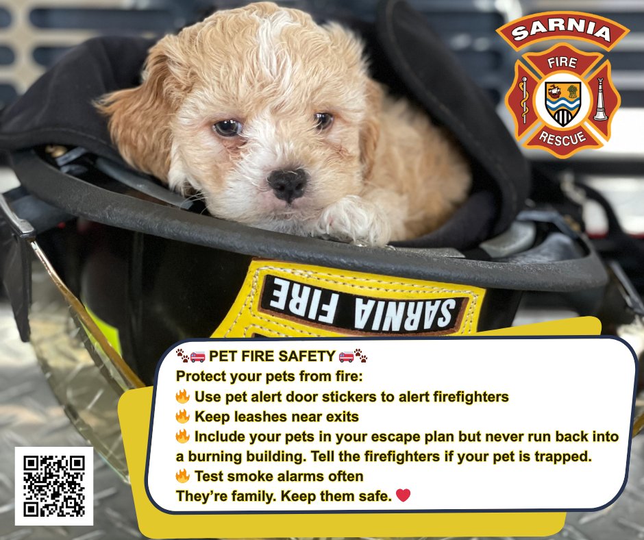 Sarnia Fire Rescue tweet media