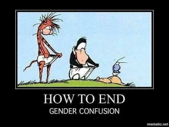 BryanBrooke11's tweet photo. @susaninseattle1 https://t.co/MebLki9ebC