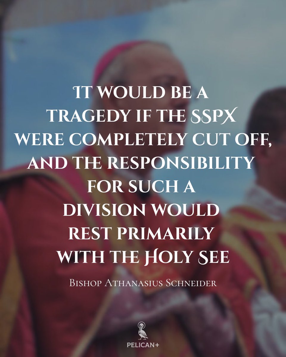 Pelican Brief tweet media