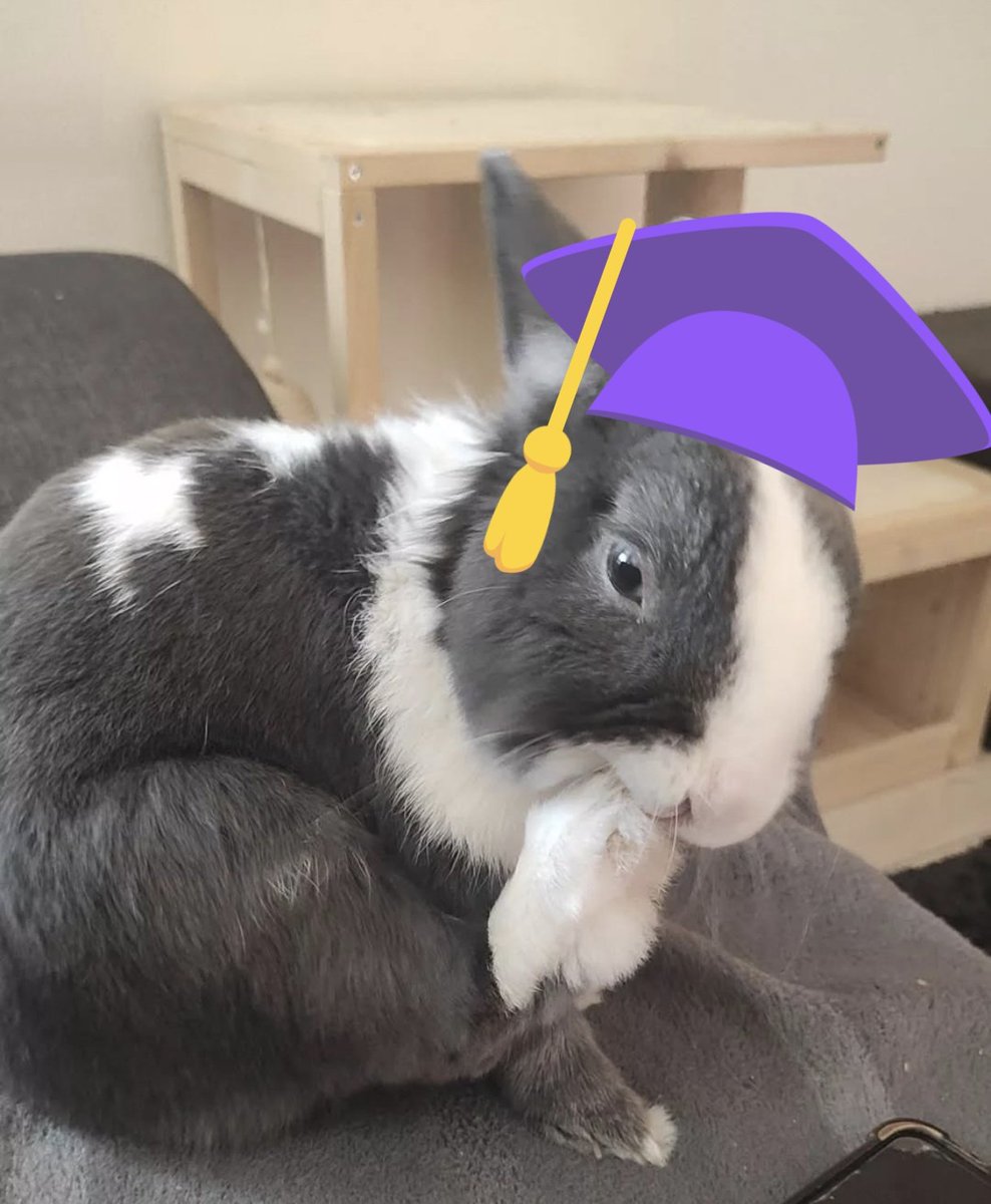 CMBeliever's tweet photo. Hello aux étudiants·tes de Toulouse ! ✨

J'aurais quelques questions vis-à-vis de la FORMATION À DISTANCE proposé par votre licence de psychologie.

Est-ce que quelqu'une personne ici est passée par ce dispositif et pourrais me renseigner svp ? 👉👈

~ RT appréciés ~ https://t.co/c40iFKBCax