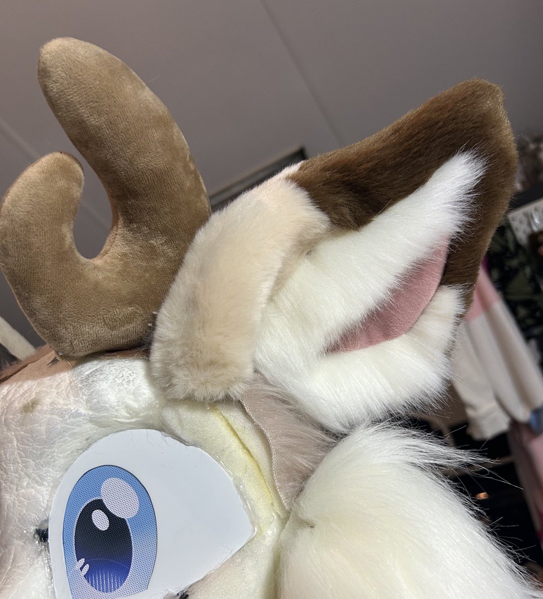 FuzzyFurCreations 🔜 NFC tweet media